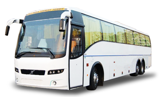 Travels Services